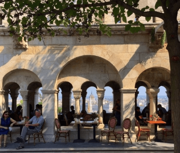 a group of people sitting at a table under a tree
